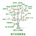 栀子花开富万家，产业报国正当时